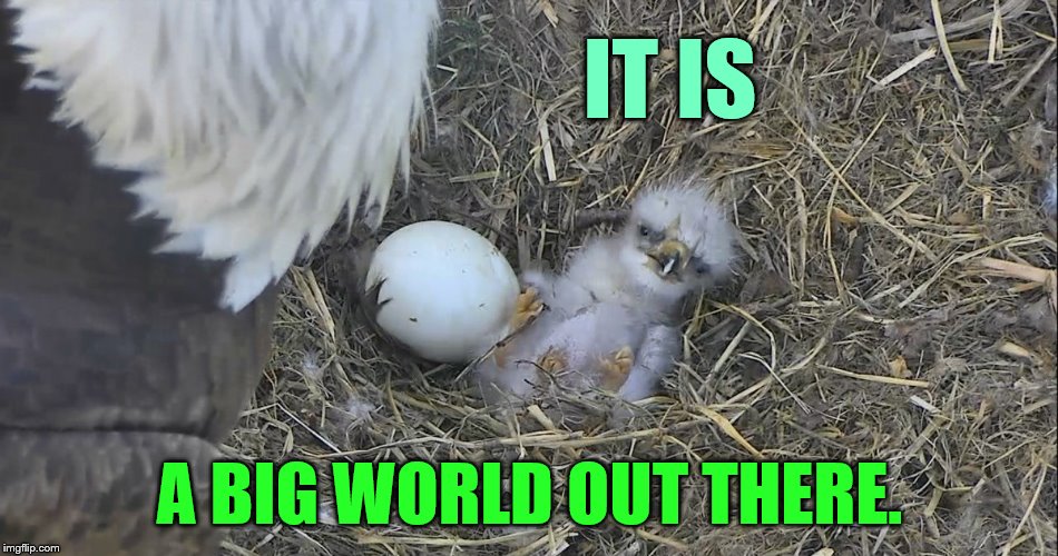 IT IS A BIG WORLD OUT THERE. | made w/ Imgflip meme maker