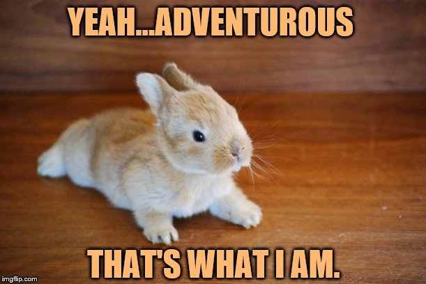 YEAH...ADVENTUROUS THAT'S WHAT I AM. | made w/ Imgflip meme maker