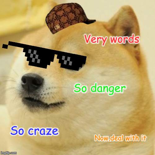 Doge Meme | Very words; So danger; So craze; Now,deal with it | image tagged in memes,doge | made w/ Imgflip meme maker