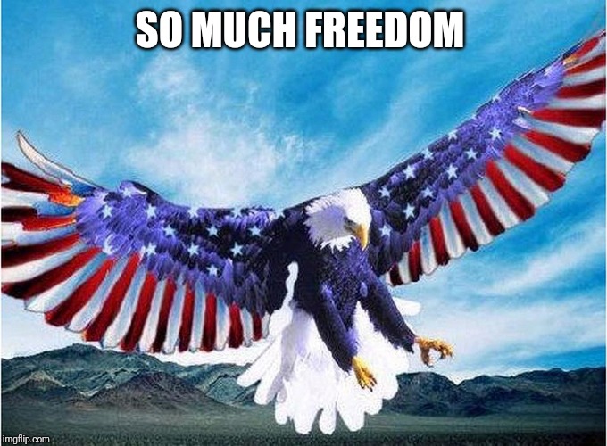 merica eagle | SO MUCH FREEDOM | image tagged in merica eagle | made w/ Imgflip meme maker