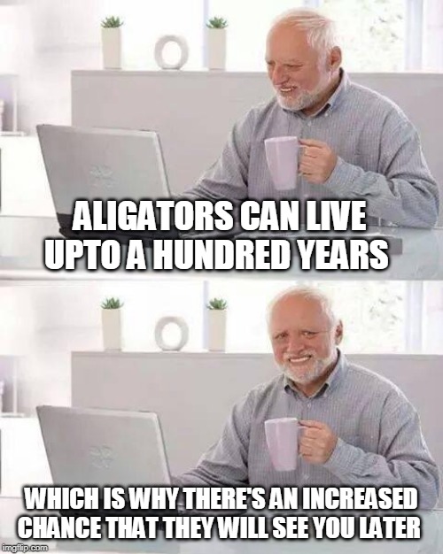 Hide the Pain Harold | ALIGATORS CAN LIVE UPTO A HUNDRED YEARS; WHICH IS WHY THERE'S AN INCREASED CHANCE THAT THEY WILL SEE YOU LATER | image tagged in memes,hide the pain harold | made w/ Imgflip meme maker