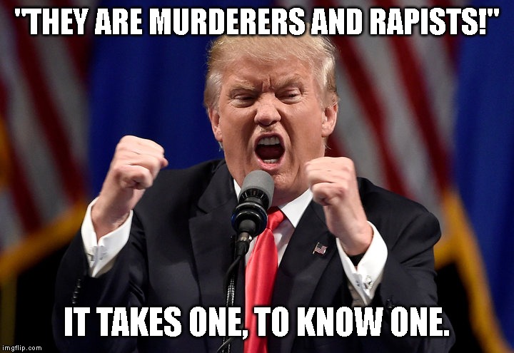Alleged Rapist Trump's Immigration Policy Responsible for the Deaths of Immigrants Including Children | "THEY ARE MURDERERS AND RAPISTS!"; IT TAKES ONE, TO KNOW ONE. | image tagged in murderer,rapist,impeach trump,criminal,conman,liar | made w/ Imgflip meme maker
