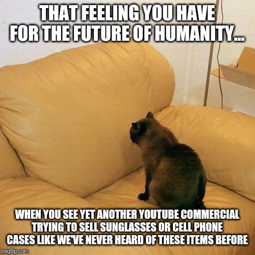 Trying to make me believe your product is new | THAT FEELING YOU HAVE FOR THE FUTURE OF HUMANITY... WHEN YOU SEE YET ANOTHER YOUTUBE COMMERCIAL TRYING TO SELL SUNGLASSES OR CELL PHONE CASES LIKE WE'VE NEVER HEARD OF THESE ITEMS BEFORE | image tagged in productive cat | made w/ Imgflip meme maker