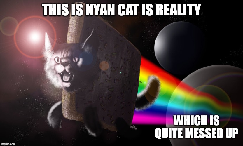 Real Nyan Cat | THIS IS NYAN CAT IS REALITY; WHICH IS QUITE MESSED UP | image tagged in nyan cat,reality,memes | made w/ Imgflip meme maker