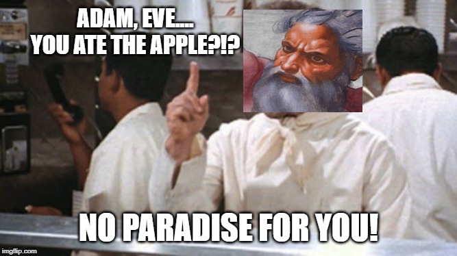 Eden Nazi | ADAM, EVE.... YOU ATE THE APPLE?!? NO PARADISE FOR YOU! | image tagged in god | made w/ Imgflip meme maker