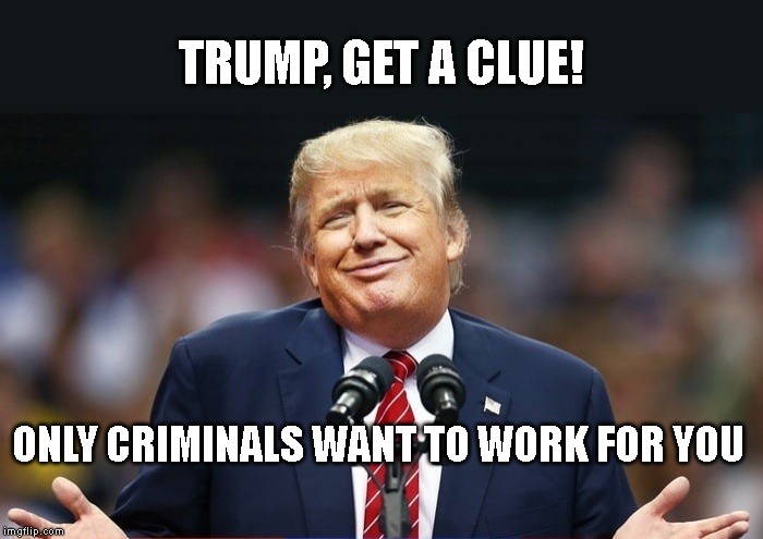 Trump Promised to Have the "Best" People | TRUMP, GET A CLUE! ONLY CRIMINALS WANT TO WORK FOR YOU | image tagged in impeach trump,conman,liar,traitor,government corruption | made w/ Imgflip meme maker