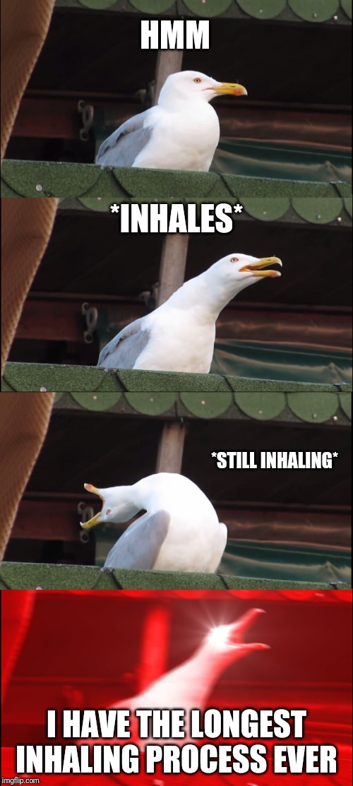 Inhaling Seagull Meme | HMM; *INHALES*; *STILL INHALING*; I HAVE THE LONGEST INHALING PROCESS EVER | image tagged in memes,inhaling seagull | made w/ Imgflip meme maker