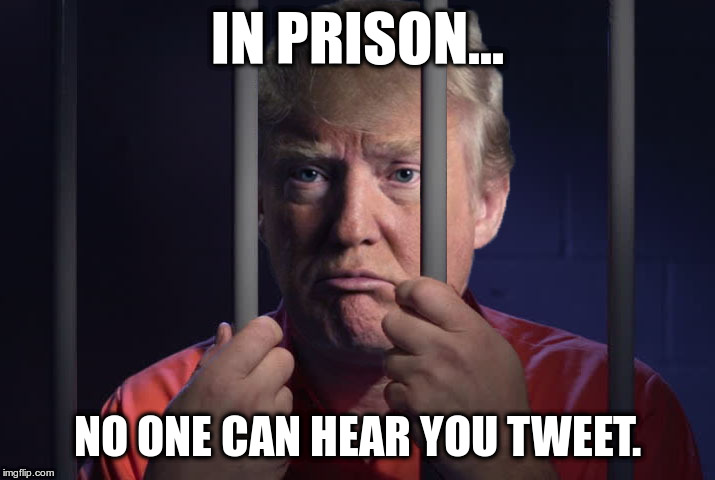 Trump Prison | IN PRISON... NO ONE CAN HEAR YOU TWEET. | image tagged in trump prison | made w/ Imgflip meme maker