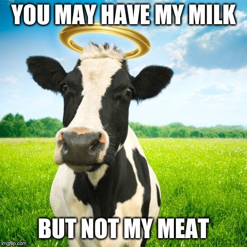Holy Cow | YOU MAY HAVE MY MILK; BUT NOT MY MEAT | image tagged in holy cow | made w/ Imgflip meme maker