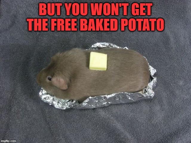 Baked potato Guinea pig | BUT YOU WON'T GET THE FREE BAKED POTATO | image tagged in baked potato guinea pig | made w/ Imgflip meme maker