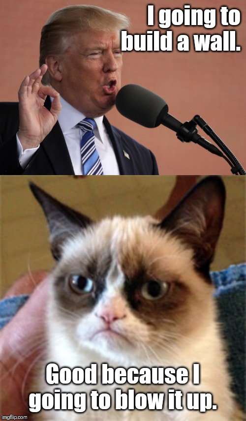 Grumpy cat meme |  I going to build a wall. Good because I going to blow it up. | image tagged in grumpy cat,donald trump | made w/ Imgflip meme maker