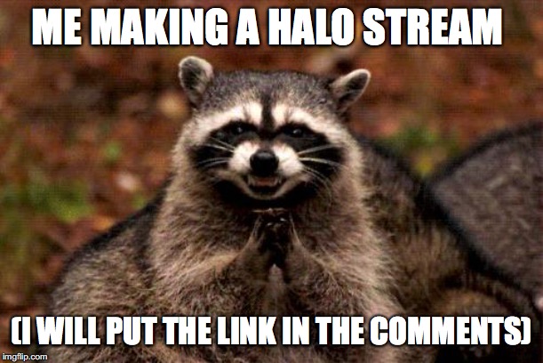 Evil Plotting Raccoon | ME MAKING A HALO STREAM; (I WILL PUT THE LINK IN THE COMMENTS) | image tagged in memes,evil plotting raccoon | made w/ Imgflip meme maker