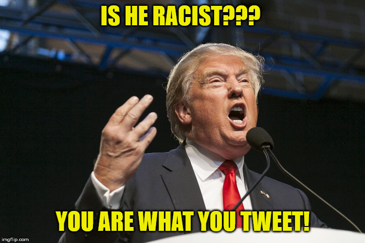 You are what you tweet! | IS HE RACIST??? YOU ARE WHAT YOU TWEET! | image tagged in yelling trump | made w/ Imgflip meme maker