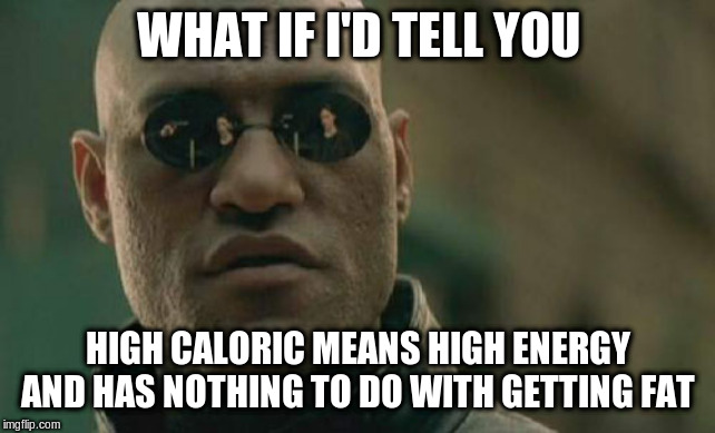 Matrix Morpheus Meme | WHAT IF I'D TELL YOU HIGH CALORIC MEANS HIGH ENERGY AND HAS NOTHING TO DO WITH GETTING FAT | image tagged in memes,matrix morpheus | made w/ Imgflip meme maker