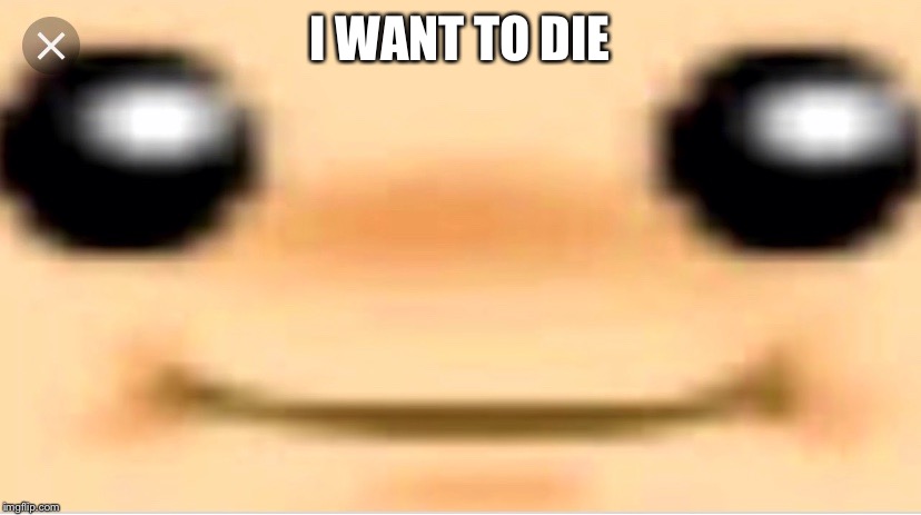 Toads true thoughts | I WANT TO DIE | image tagged in super mario 64,bup,toad,evil,evil smile | made w/ Imgflip meme maker
