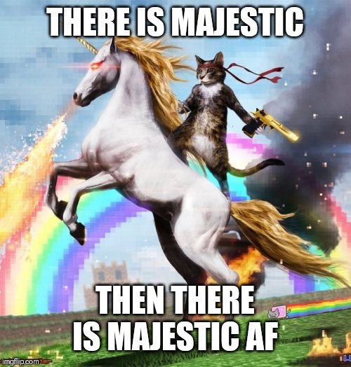 Welcome To The Internets Meme | THERE IS MAJESTIC; THEN THERE IS MAJESTIC AF | image tagged in memes,welcome to the internets | made w/ Imgflip meme maker