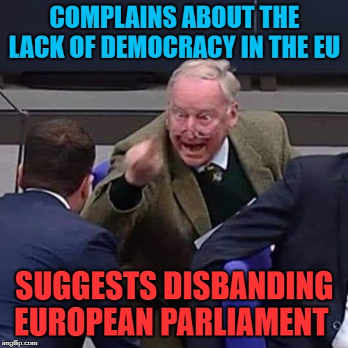 AfD, makes the Republicans look like liberals | COMPLAINS ABOUT THE LACK OF DEMOCRACY IN THE EU; SUGGESTS DISBANDING EUROPEAN PARLIAMENT | image tagged in gauland,afd,morons,politicstoo | made w/ Imgflip meme maker