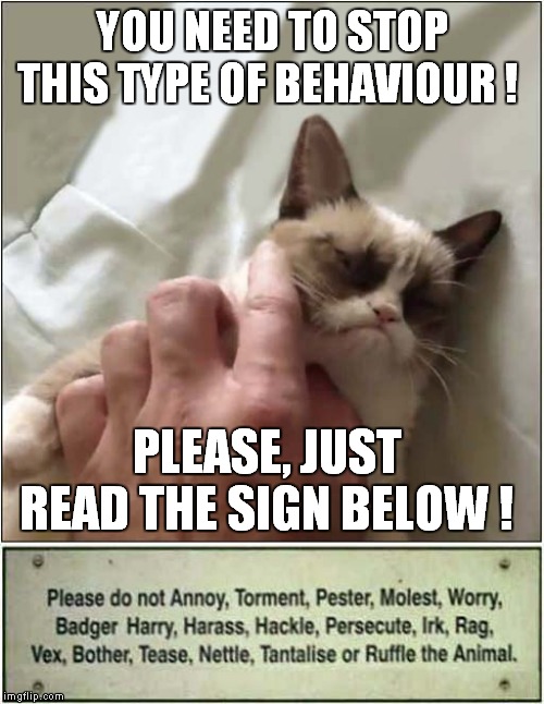 Grumpys Warning Sign | YOU NEED TO STOP THIS TYPE OF BEHAVIOUR ! PLEASE, JUST READ THE SIGN BELOW ! | image tagged in cats,grumpy cat | made w/ Imgflip meme maker
