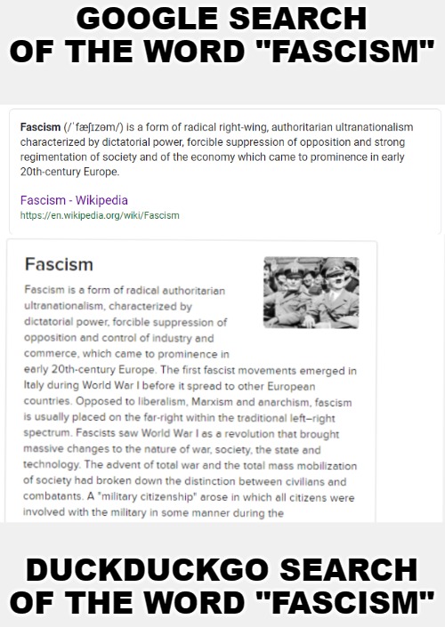 Google isn't manipulating search results, huh? Interesting. | GOOGLE SEARCH OF THE WORD "FASCISM"; DUCKDUCKGO SEARCH OF THE WORD "FASCISM" | image tagged in memes,google,duckduckgo,fascism | made w/ Imgflip meme maker