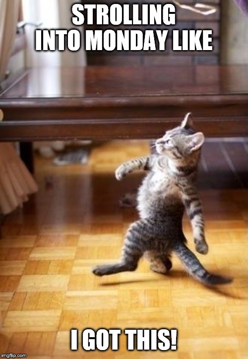 Cool Cat Stroll Meme | STROLLING INTO MONDAY LIKE I GOT THIS! | image tagged in memes,cool cat stroll | made w/ Imgflip meme maker