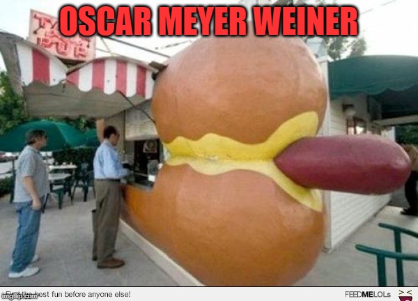 Hot Dog Stand | OSCAR MEYER WEINER | image tagged in hot dog stand | made w/ Imgflip meme maker