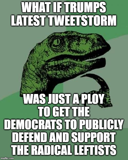 An internal Democrat poll shows 76% of moderates and independents strongly disapprove of AOC and Omar. | WHAT IF TRUMPS LATEST TWEETSTORM; WAS JUST A PLOY TO GET THE DEMOCRATS TO PUBLICLY DEFEND AND SUPPORT THE RADICAL LEFTISTS | image tagged in memes,philosoraptor | made w/ Imgflip meme maker