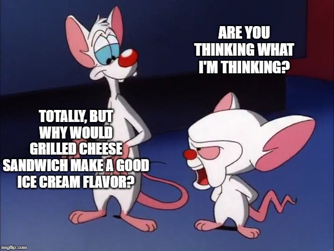 I Think So Brain | ARE YOU THINKING WHAT I'M THINKING? TOTALLY, BUT WHY WOULD GRILLED CHEESE SANDWICH MAKE A GOOD ICE CREAM FLAVOR? | image tagged in i think so brain | made w/ Imgflip meme maker
