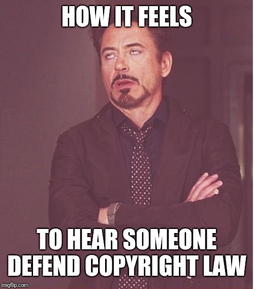 Face You Make Robert Downey Jr | HOW IT FEELS; TO HEAR SOMEONE DEFEND COPYRIGHT LAW | image tagged in memes,face you make robert downey jr | made w/ Imgflip meme maker