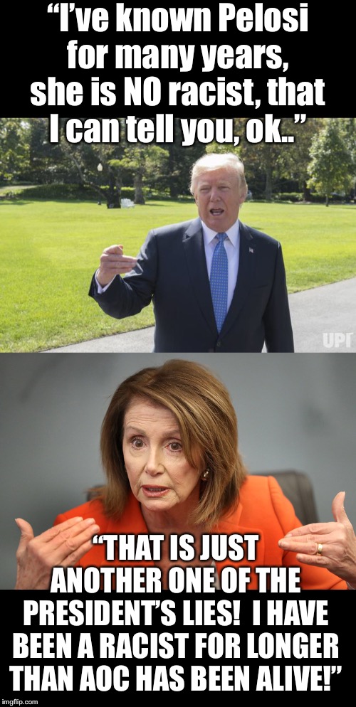 Because she and the Dems literally disagree with EVERYTHING Trump says lol! | “I’ve known Pelosi for many years, she is NO racist, that I can tell you, ok..”; “THAT IS JUST ANOTHER ONE OF THE PRESIDENT’S LIES!  I HAVE BEEN A RACIST FOR LONGER THAN AOC HAS BEEN ALIVE!” | image tagged in maga | made w/ Imgflip meme maker