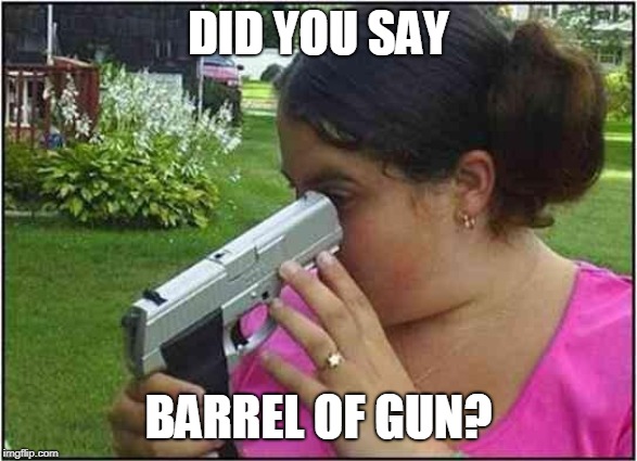 Woman looking down gun barrel | DID YOU SAY BARREL OF GUN? | image tagged in woman looking down gun barrel | made w/ Imgflip meme maker