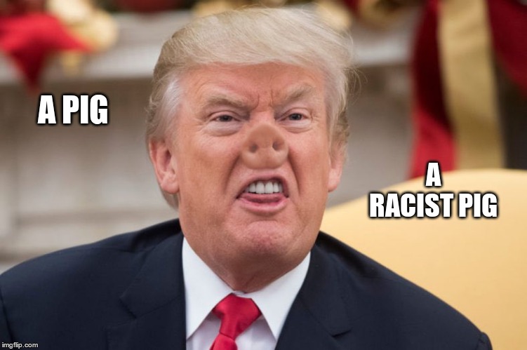 Oink Oink MAGAt's | A PIG; A RACIST PIG | image tagged in trump,racist,pig | made w/ Imgflip meme maker