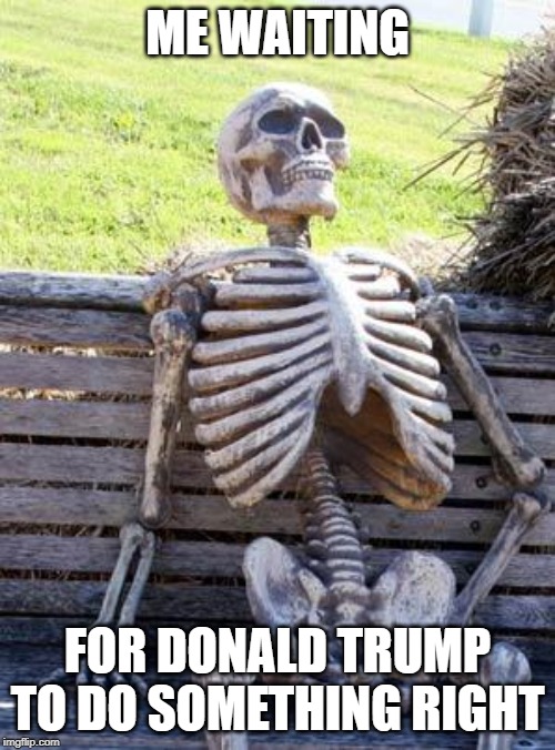 Waiting Skeleton | ME WAITING; FOR DONALD TRUMP TO DO SOMETHING RIGHT | image tagged in memes,waiting skeleton | made w/ Imgflip meme maker