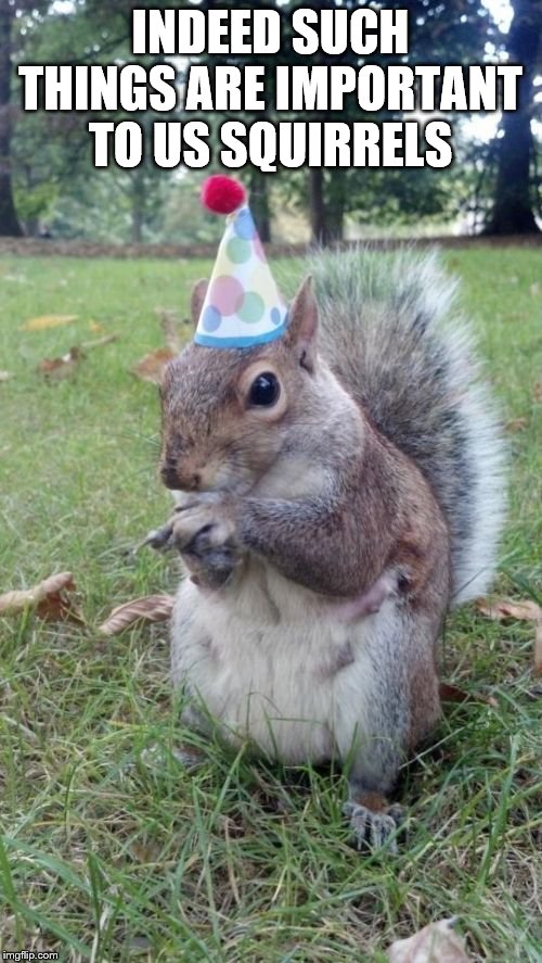 Super Birthday Squirrel Meme | INDEED SUCH THINGS ARE IMPORTANT TO US SQUIRRELS | image tagged in memes,super birthday squirrel | made w/ Imgflip meme maker