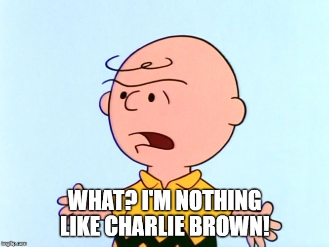 Angry Charlie Brown | WHAT? I'M NOTHING LIKE CHARLIE BROWN! | image tagged in angry charlie brown | made w/ Imgflip meme maker