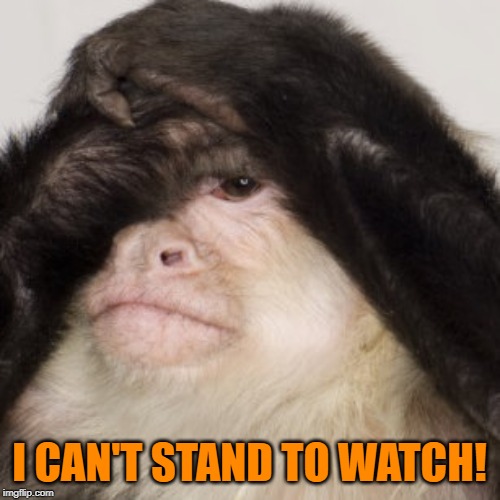 I CAN'T STAND TO WATCH! | made w/ Imgflip meme maker