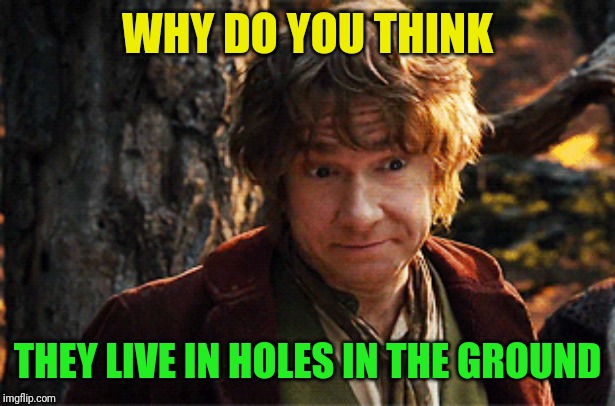 WHY DO YOU THINK THEY LIVE IN HOLES IN THE GROUND | made w/ Imgflip meme maker