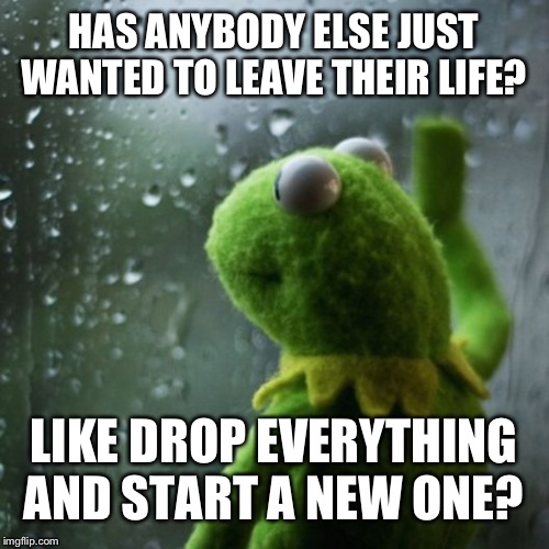 sometimes I wonder  | HAS ANYBODY ELSE JUST WANTED TO LEAVE THEIR LIFE? LIKE DROP EVERYTHING AND START A NEW ONE? | image tagged in sometimes i wonder | made w/ Imgflip meme maker