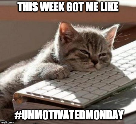 Sleepy AF | THIS WEEK GOT ME LIKE; #UNMOTIVATEDMONDAY | image tagged in tired cat | made w/ Imgflip meme maker