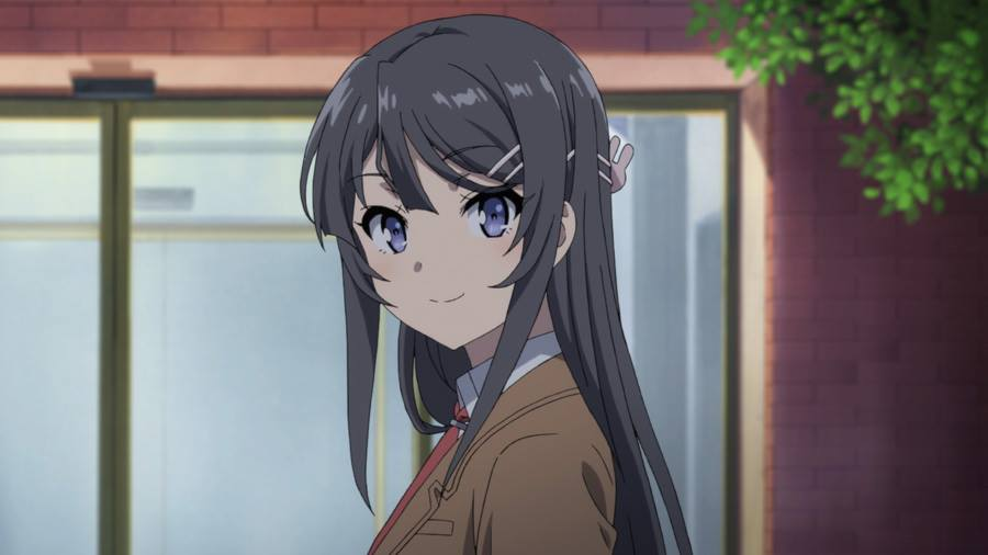 mai sakurajima Blank Meme Template