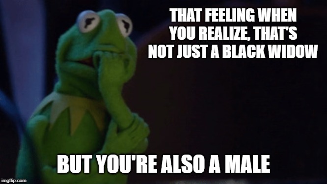 Nervous Kermit | THAT FEELING WHEN YOU REALIZE, THAT'S NOT JUST A BLACK WIDOW BUT YOU'RE ALSO A MALE | image tagged in nervous kermit | made w/ Imgflip meme maker
