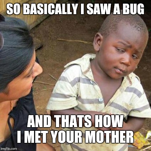 Third World Skeptical Kid | SO BASICALLY I SAW A BUG; AND THATS HOW I MET YOUR MOTHER | image tagged in memes,third world skeptical kid | made w/ Imgflip meme maker