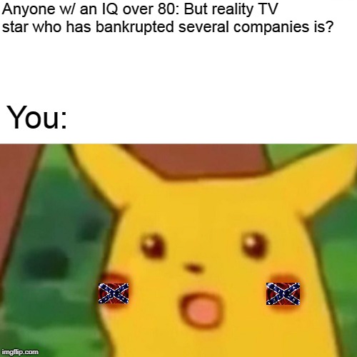 Surprised Pikachu Meme | Anyone w/ an IQ over 80: But reality TV star who has bankrupted several companies is? You: | image tagged in memes,surprised pikachu | made w/ Imgflip meme maker