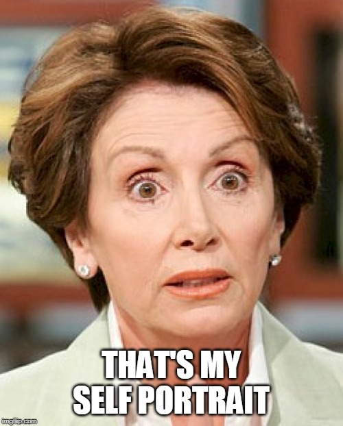 Shocked Pelosi | THAT'S MY SELF PORTRAIT | image tagged in shocked pelosi | made w/ Imgflip meme maker