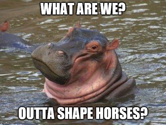 smiling hippo | WHAT ARE WE? OUTTA SHAPE HORSES? | image tagged in smiling hippo | made w/ Imgflip meme maker