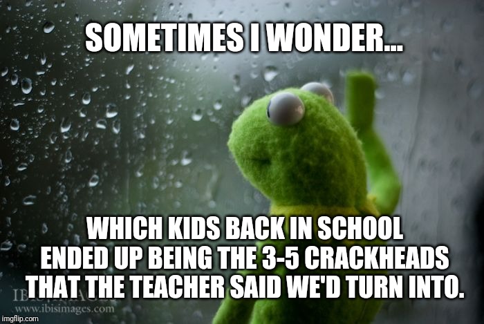 That was '96. I'm sure the numbers are higher now. | SOMETIMES I WONDER... WHICH KIDS BACK IN SCHOOL ENDED UP BEING THE 3-5 CRACKHEADS THAT THE TEACHER SAID WE'D TURN INTO. | image tagged in kermit window,drugs | made w/ Imgflip meme maker