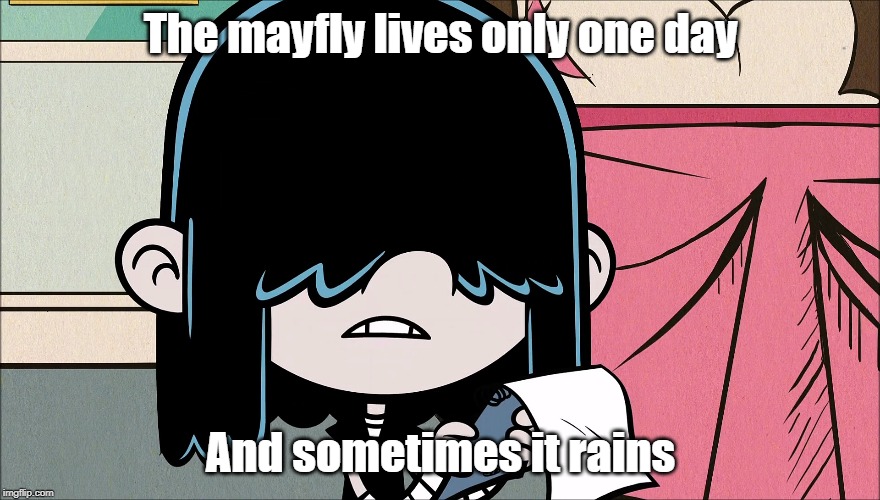 Wise words from Lucy Loud | The mayfly lives only one day; And sometimes it rains | image tagged in the loud house,george carlin | made w/ Imgflip meme maker