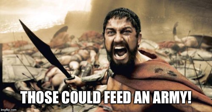 Sparta Leonidas Meme | THOSE COULD FEED AN ARMY! | image tagged in memes,sparta leonidas | made w/ Imgflip meme maker