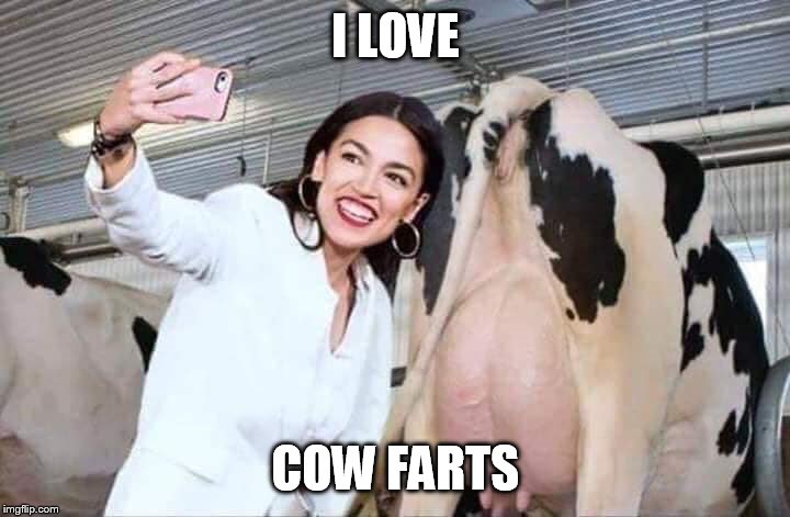 I LOVE COW FARTS | made w/ Imgflip meme maker