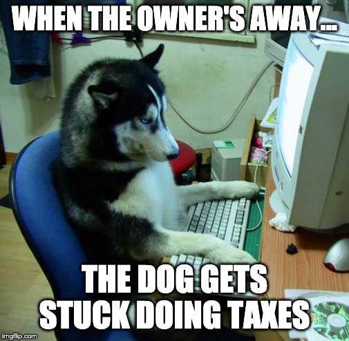 I Have No Idea What I Am Doing Meme | WHEN THE OWNER'S AWAY... THE DOG GETS STUCK DOING TAXES | image tagged in memes,i have no idea what i am doing,taxes,dogs | made w/ Imgflip meme maker