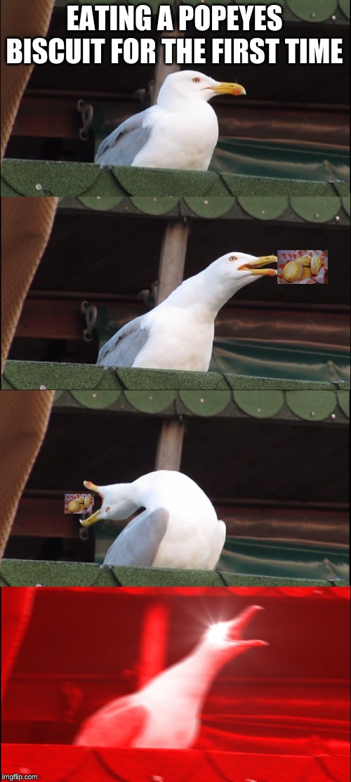 Inhaling Seagull Meme | EATING A POPEYES BISCUIT FOR THE FIRST TIME | image tagged in memes,inhaling seagull | made w/ Imgflip meme maker